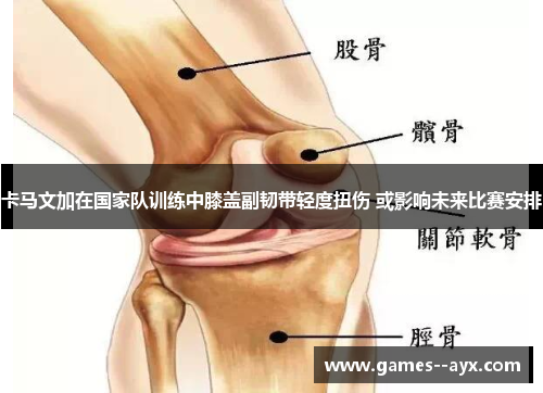 卡马文加在国家队训练中膝盖副韧带轻度扭伤 或影响未来比赛安排